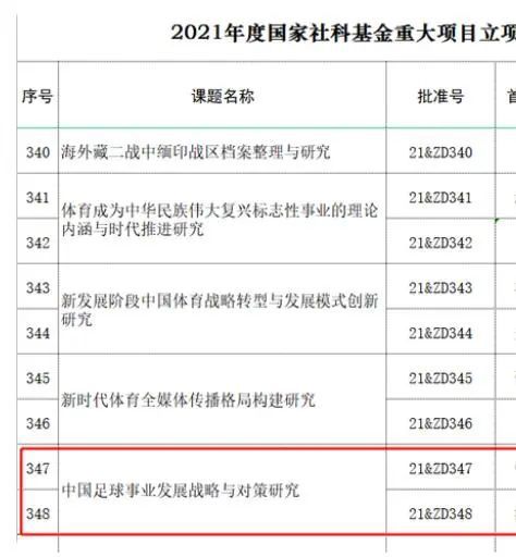 国产毛片在线